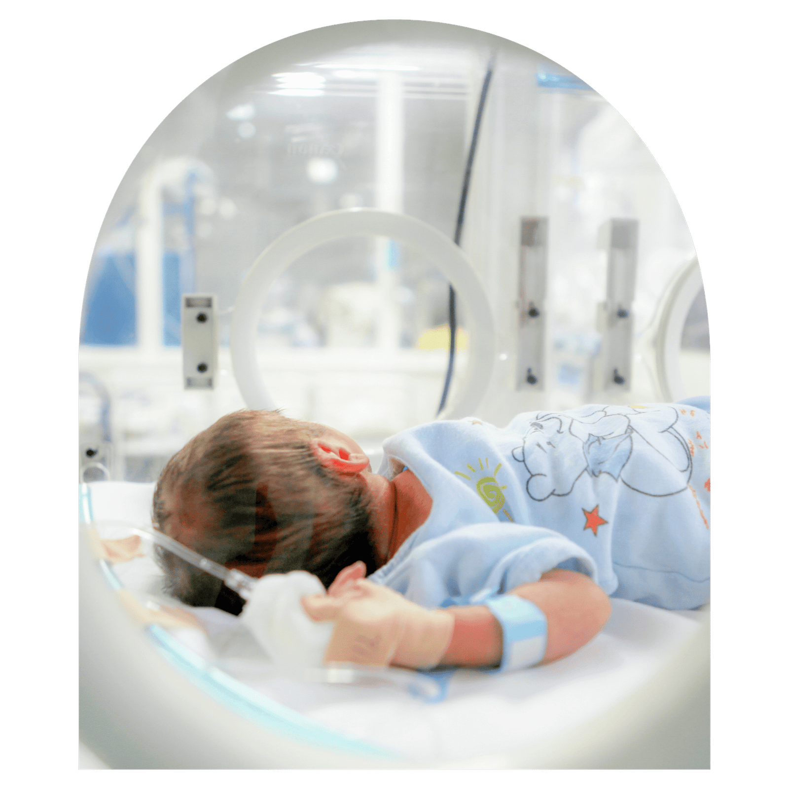 Baby held in caring hands