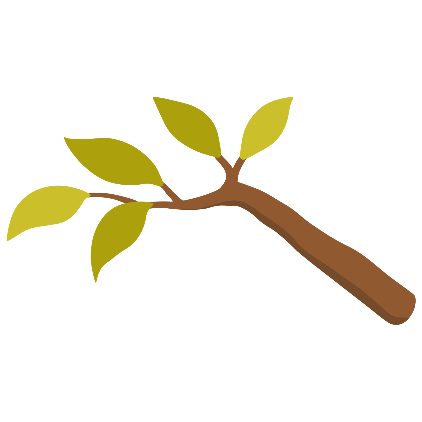 A branch full of leaves